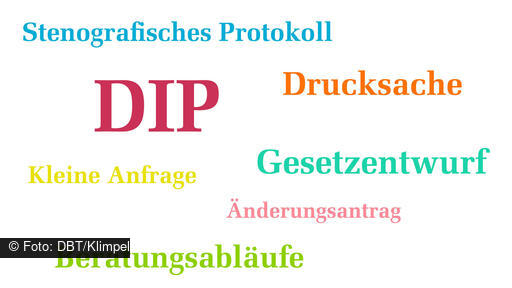 Das Dokumentations- und Informationssystem für Parlamentsmaterialien (DIP)
