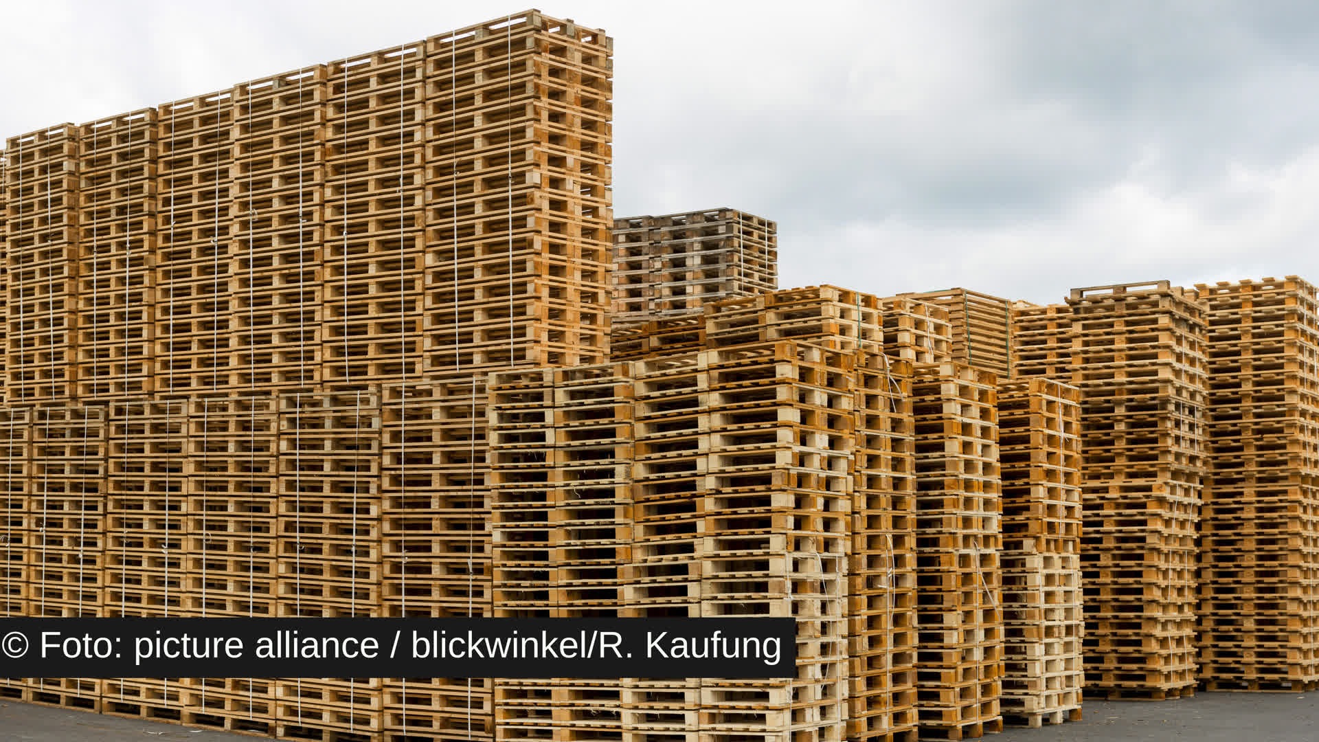 83. Sitzung vom 11.06.2026. TOP ZP 16: Anpassung des Verpackungsrechts episode artwork